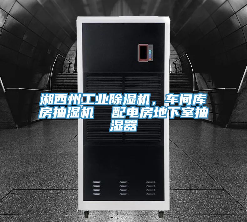 湘西州工业除湿机，车间库房抽湿机  配电房地下室抽湿器