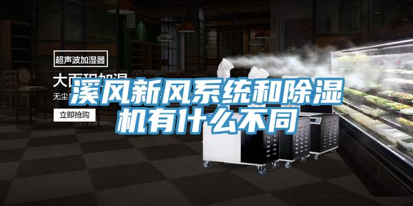 溪风新风系统和除湿机有什么不同