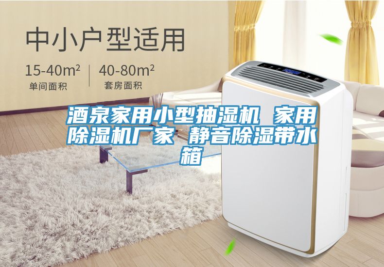 酒泉家用小型抽湿机 家用除湿机厂家 静音除湿带水箱