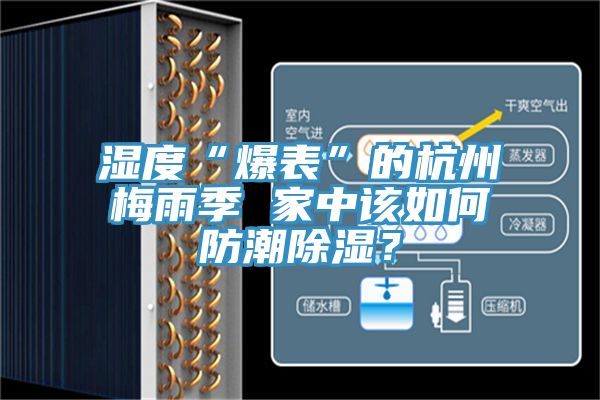 湿度“爆表”的杭州梅雨季 家中该如何防潮除湿？