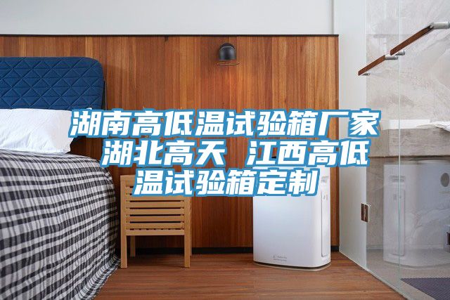 湖南高低温试验箱厂家 湖北高天 江西高低温试验箱定制