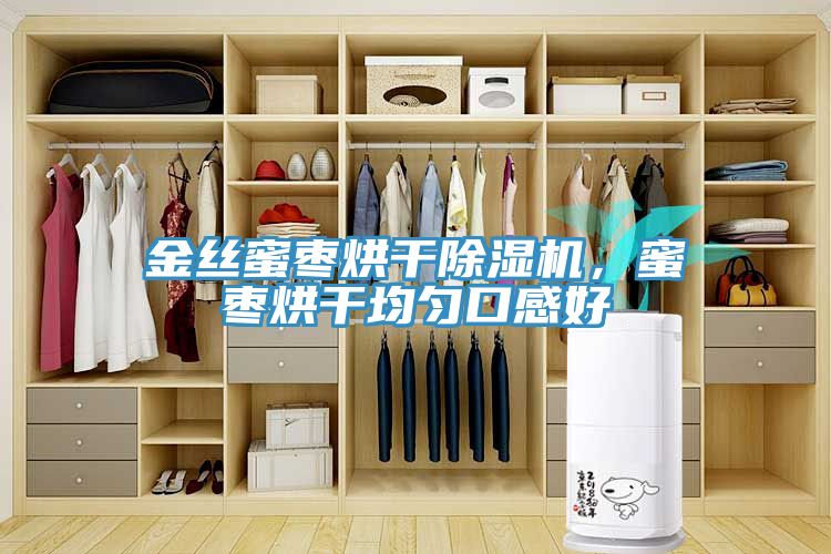 金丝蜜枣烘干除湿机，蜜枣烘干均匀口感好