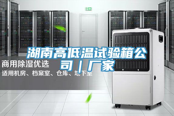 湖南高低温试验箱公司｜厂家