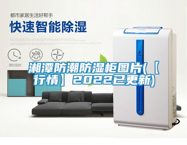 湘潭防潮防湿柜图片(【行情】2022已更新)