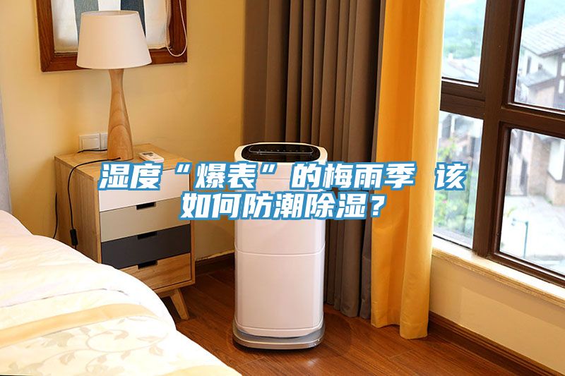 湿度“爆表”的梅雨季 该如何防潮除湿？