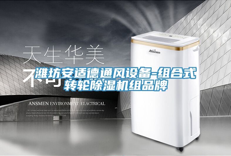 潍坊安适德通风设备-组合式转轮除湿机组品牌