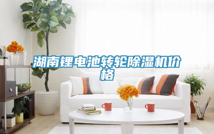 湖南锂电池转轮除湿机价格