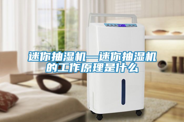 迷你抽湿机—迷你抽湿机的工作原理是什么
