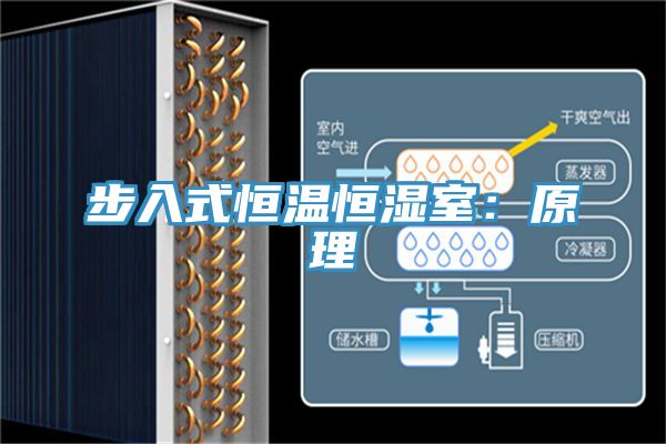 步入式恒温恒湿室：原理