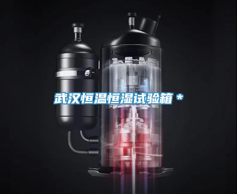 武汉恒温恒湿试验箱＊