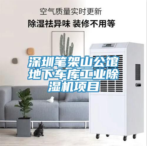 深圳笔架山公馆地下车库工业除湿机项目