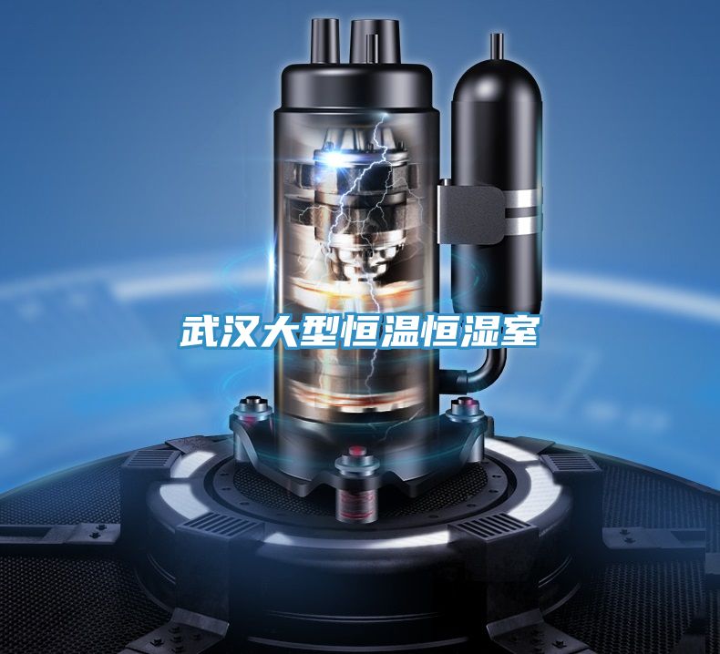武汉大型恒温恒湿室