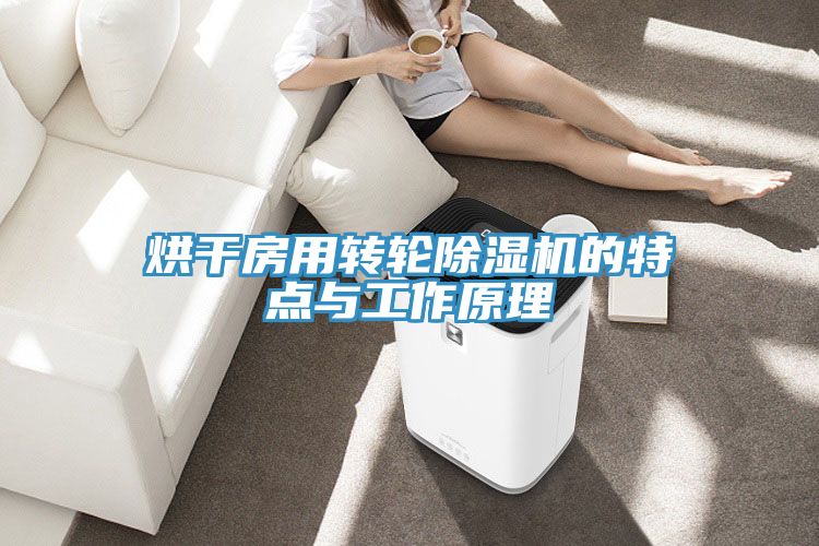 烘干房用转轮除湿机的特点与工作原理
