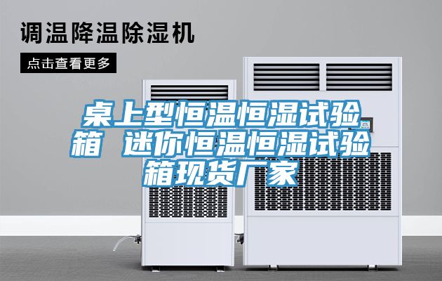 桌上型恒温恒湿试验箱 迷你恒温恒湿试验箱现货厂家