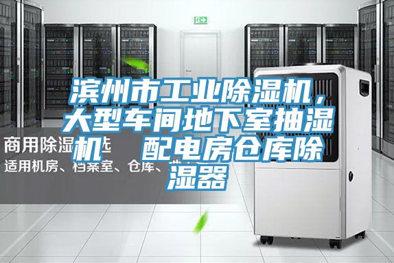 滨州市工业除湿机，大型车间地下室抽湿机  配电房仓库除湿器