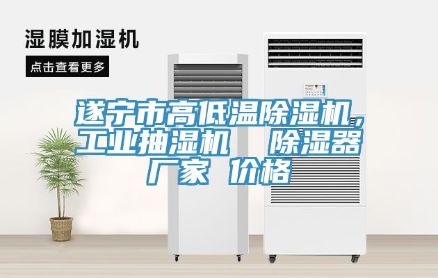 遂宁市高低温除湿机，工业抽湿机  除湿器厂家 价格