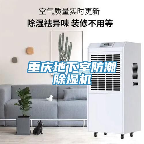 重庆地下室防潮除湿机