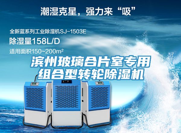 滨州玻璃合片室专用组合型转轮除湿机