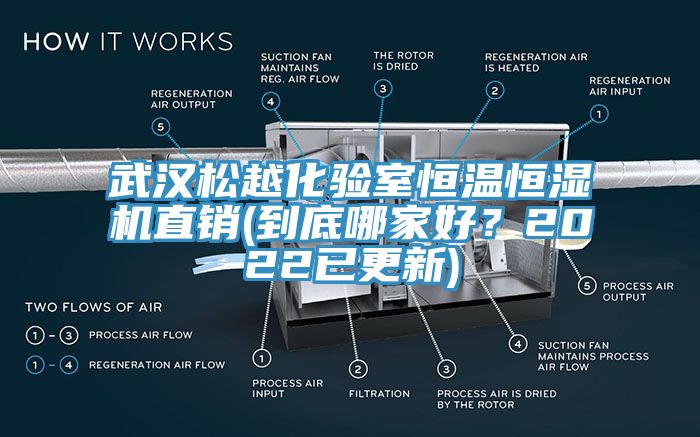 武汉松越化验室恒温恒湿机直销(到底哪家好？2022已更新)