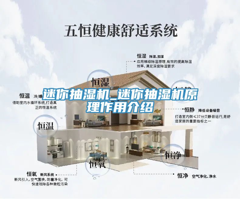 迷你抽湿机_迷你抽湿机原理作用介绍