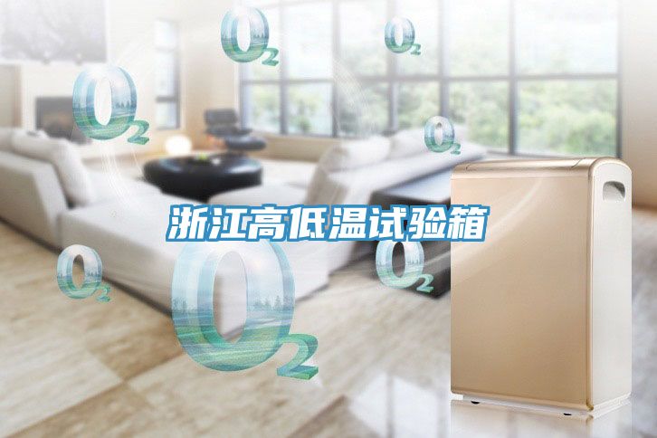 浙江高低温试验箱