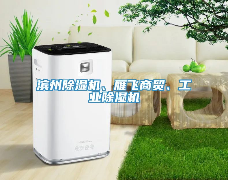 滨州除湿机、雁飞商贸、工业除湿机