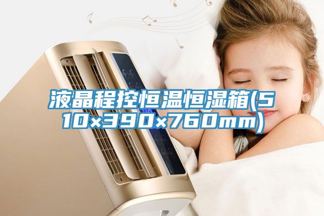 液晶程控恒温恒湿箱(510×390×760mm)