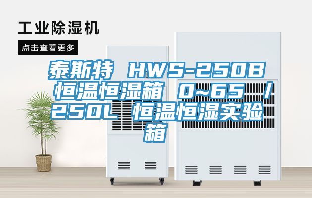 泰斯特 HWS-250B 恒温恒湿箱 0~65℃／250L 恒温恒湿实验箱