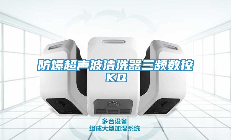 防爆超声波清洗器三频数控KQ