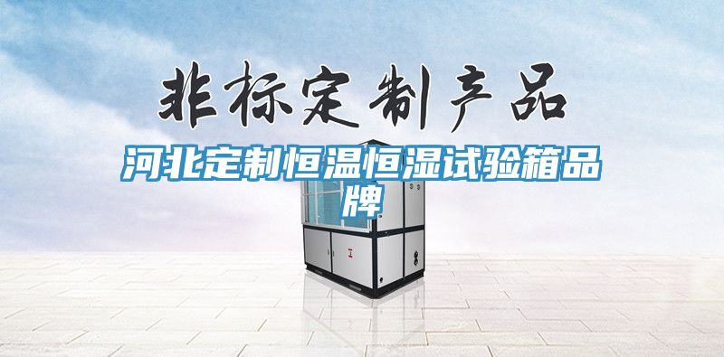 河北定制恒温恒湿试验箱品牌