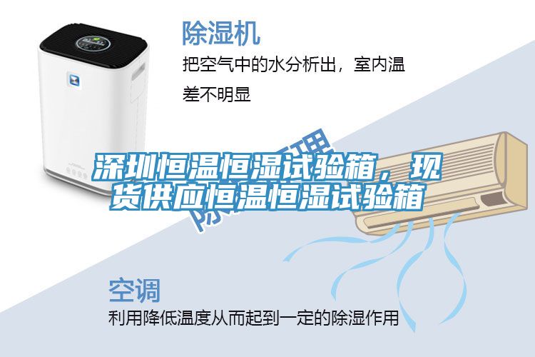 深圳恒温恒湿试验箱，现货供应恒温恒湿试验箱
