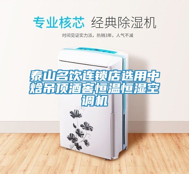 泰山名饮连锁店选用中焓吊顶酒窖恒温恒湿空调机