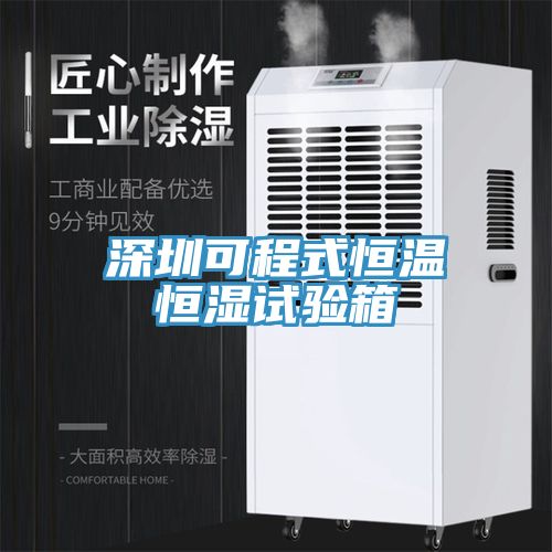深圳可程式恒温恒湿试验箱