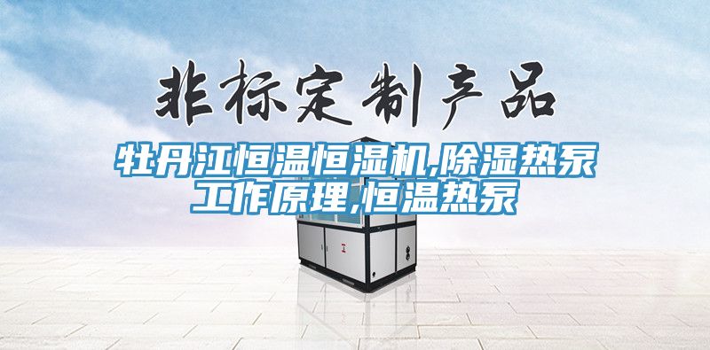牡丹江恒温恒湿机,除湿热泵工作原理,恒温热泵