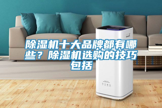 除湿机十大品牌都有哪些？除湿机选购的技巧包括