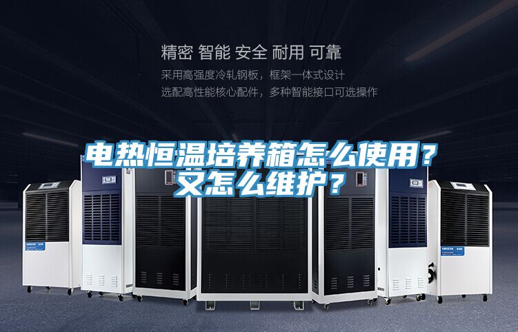 电热恒温培养箱怎么使用？又怎么维护？