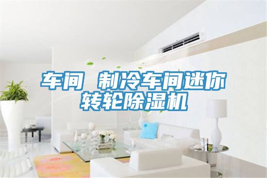 车间 制冷车间迷你转轮除湿机