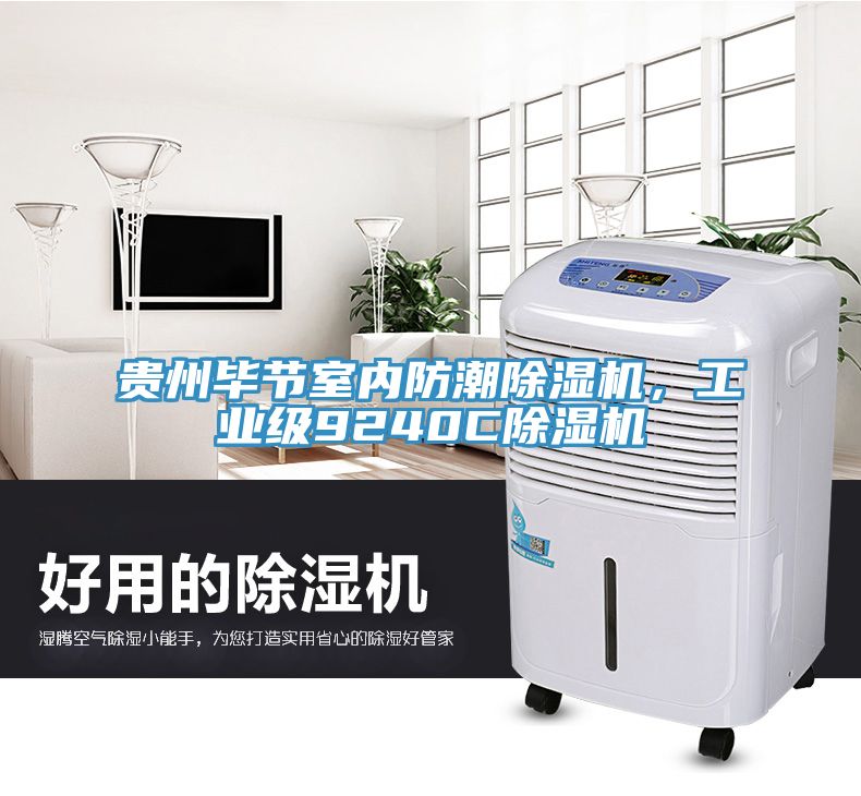 贵州毕节室内防潮除湿机，工业级9240C除湿机