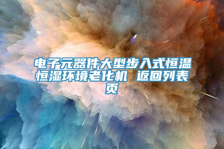 电子元器件大型步入式恒温恒湿环境老化机 返回列表页