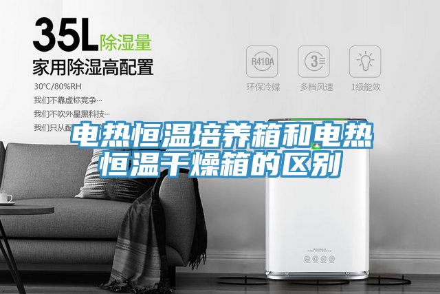 电热恒温培养箱和电热恒温干燥箱的区别