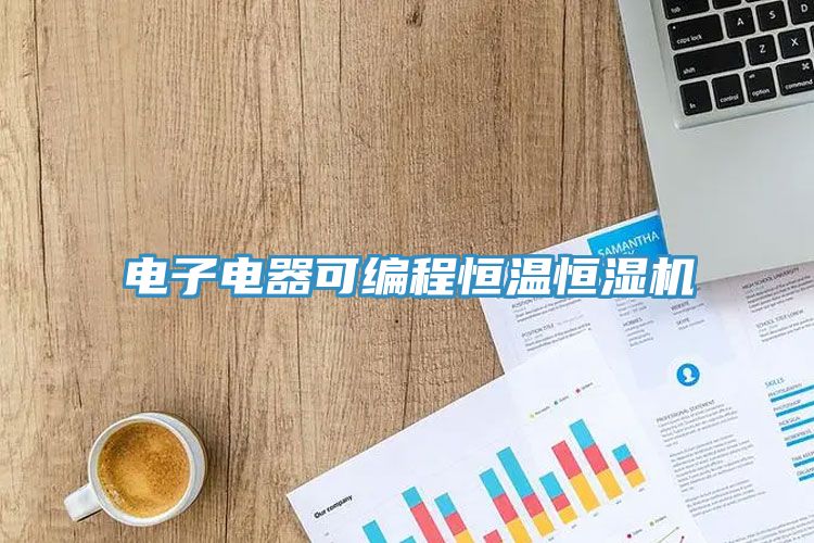 电子电器可编程恒温恒湿机