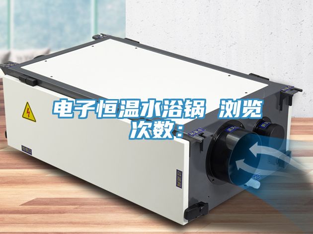 电子恒温水浴锅　　浏览次数：