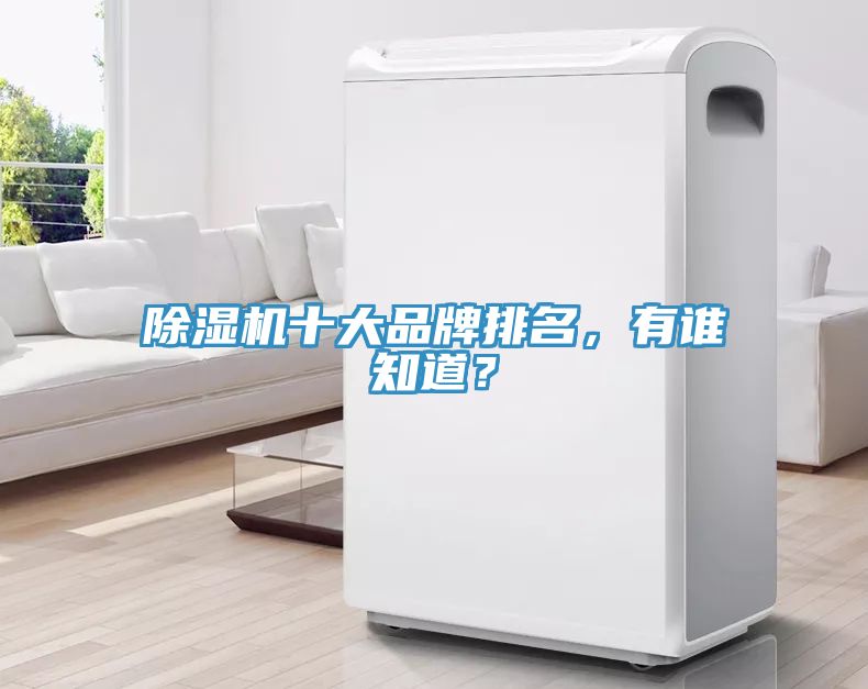 除湿机十大品牌排名，有谁知道？