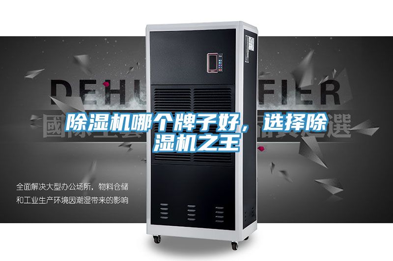 除湿机哪个牌子好，选择除湿机之王