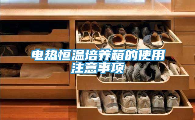 电热恒温培养箱的使用注意事项