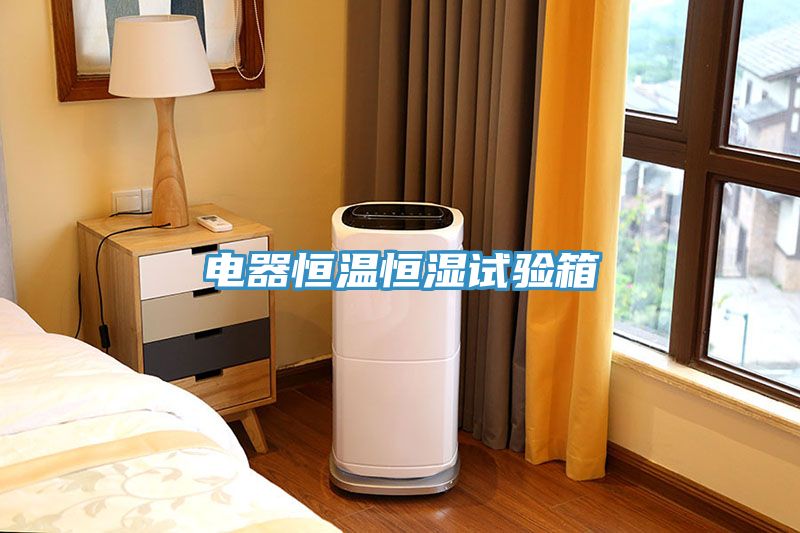 电器恒温恒湿试验箱