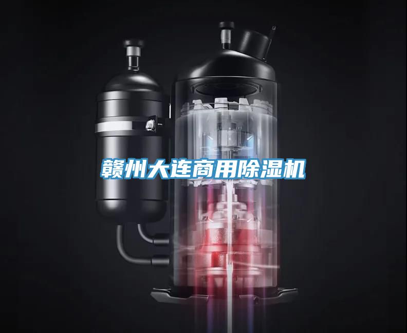 赣州大连商用除湿机