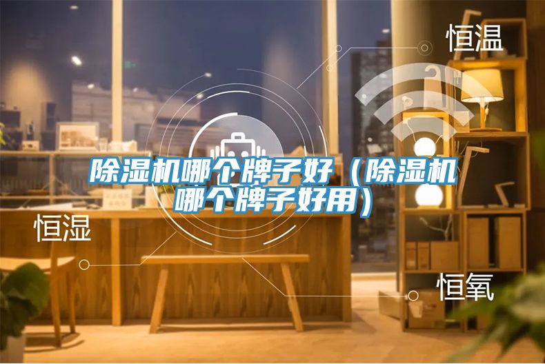 除湿机哪个牌子好（除湿机哪个牌子好用）