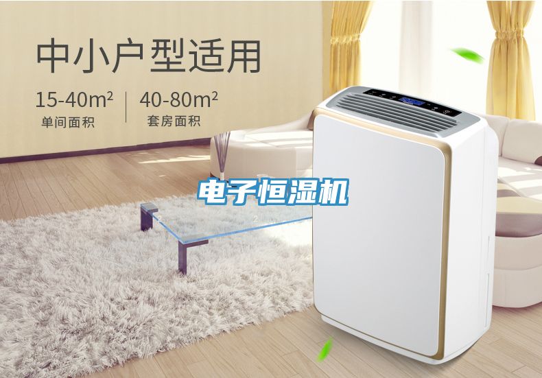 电子恒湿机