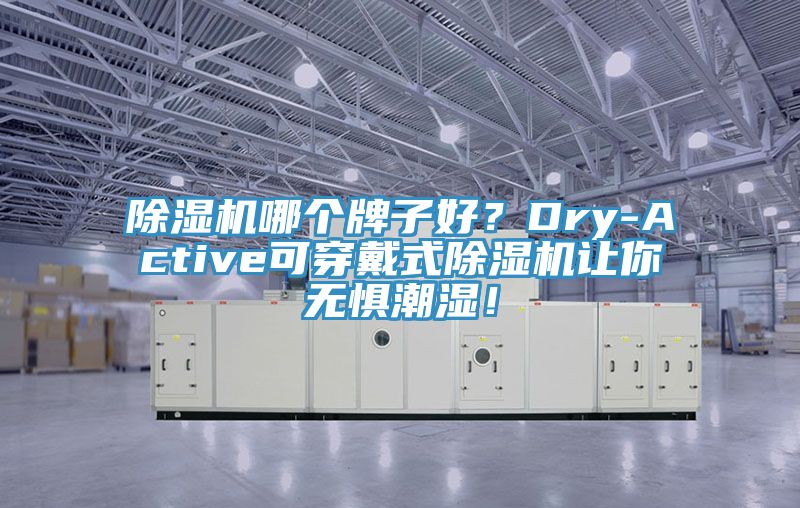 除湿机哪个牌子好？Dry-Active可穿戴式除湿机让你无惧潮湿！